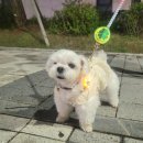 메디벤트 네이버블로그