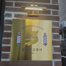 황금산 고양이 이미지