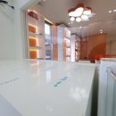 켈리 독, 강남 애견호텔 애견유치원 이미지