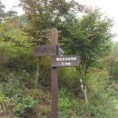 무이산, 덕성산 임도 이미지