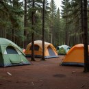 태백산 국립공원야영장 이미지