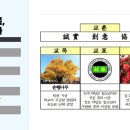 반포대로13길 48 (1) 이미지