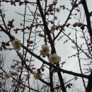 영덕군창수면보건지소 이미지