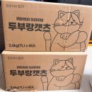 원천먼내 | [내 돈 내산 고양이모래 추천] 고양이 사막화 눈곱...두부 모래, 두부랑 캣츠 3.0mm 굵은 입자 정착 후기