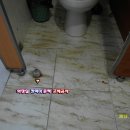 성남시,중원구,은행동,피씨방공사 PC방화장실(문짝보수)화장실칸막이,큐비클,힌지교체/성남큐비클 이미지