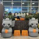 동빵제주동문 | 포켓몬 팝업스토어 in 제주 웰컴 스토어 / 우진해장국 TIP !! / 제주시 가볼만한 곳 / 동문시장 먹부림
