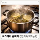 아이나한약방 | [공지] 로즈마리 끓이기 후기 집안 향 관리 이렇게 했어요
