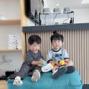 펀지키즈풀빌라2 네이버블로그