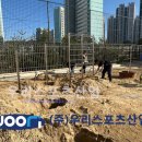 회암초등학교 이미지