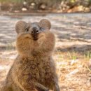 윈게임pc방 이미지