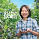 파리바게뜨충남 이미지