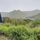 세청농장 이미지