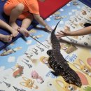 꼬마대통령어린이집 | 전주 어린이집 추천 평화동어린이집 꼬마대통령❤️