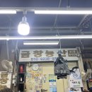 [경동시장 추천템] 20년 단골 시어머니가 알려주는 쇼핑 꿀팁! 짭짤이토마토, 참외, 키위, 금귤, 두릅...