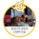 동대구역안내소 이미지