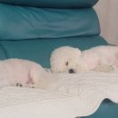 연세쉼내과의원 이미지