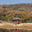 팔공산왕건길 1코스 | 초례봉,나불지, 대구근교산행, 나불지산책,각산비나리공원산책,팔공산왕건길,가팔환초,낙타봉,환성산