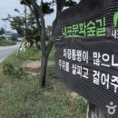 내포기술