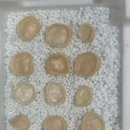 리엔치과의원 이미지