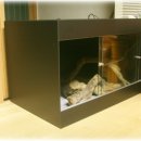 렙타일케이지 이미지