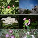 동막골 축산 이미지