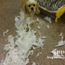 더 개편한세상 이미지