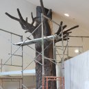 생태영상센터 이미지