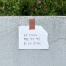 숲속에 바다 이미지