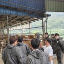 예천한우 이미지