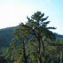 서진도농협 지산지점 주유소 | 전국 해안 드라이브:07<hwas3>