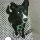 경기마트 앞 이미지