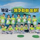 개굴개굴 이미지