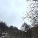 산천막국수 이미지