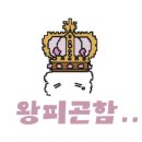 노마드몰
