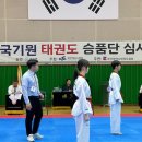 사하 힘찬태권도 이미지