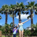 더포그레이스호텔앤리조트 이미지