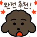 바운스캠프