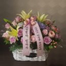 마미안여성병원 이미지