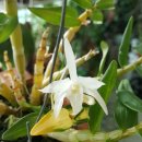 석곡농장 이미지