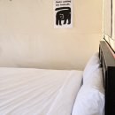 호랑이 | 서울근교 한탄강글램핑 호랑이 캠핑+시설,후기