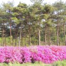 태안휴게소 이미지