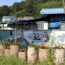 콩쥐팥쥐 관광 한옥리조트 이미지