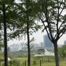 호수공원1길(중로1-8) | 광주근교가볼만한곳 나주 빛가람호수공원 주차