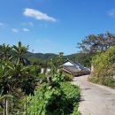 죽청농장 이미지