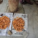 노고단-14 이미지