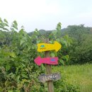 고개너머 이미지