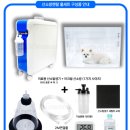 우리메디칼 | 고양이 빈혈, 고양이 산소방 대여 후기(CU메디칼 클로버4.0)