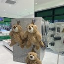 김해아동복공장1188 이미지