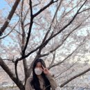 속천로 네이버블로그