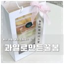 꿀봄 이미지